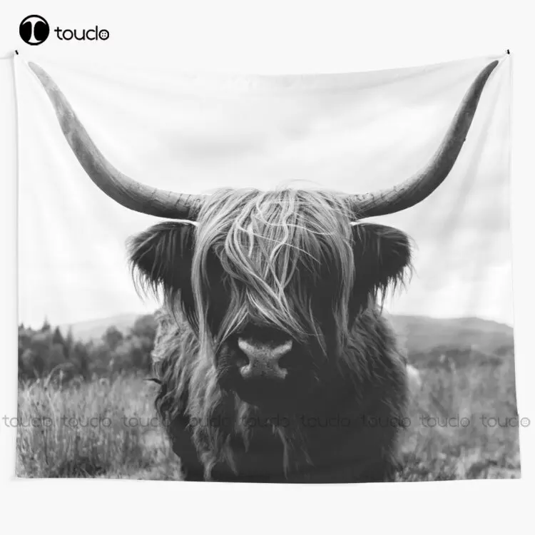 Photography Online - Scottish Highland Cattle - Black And