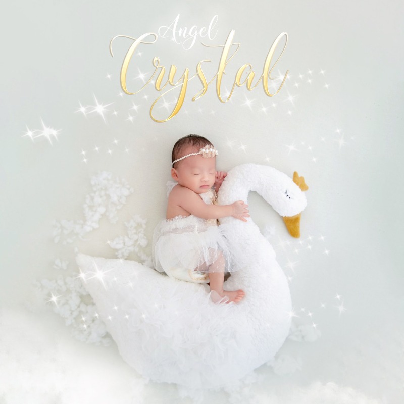 Newborn Photography Prop Swan  - Photography Outfit ulasan dan harga