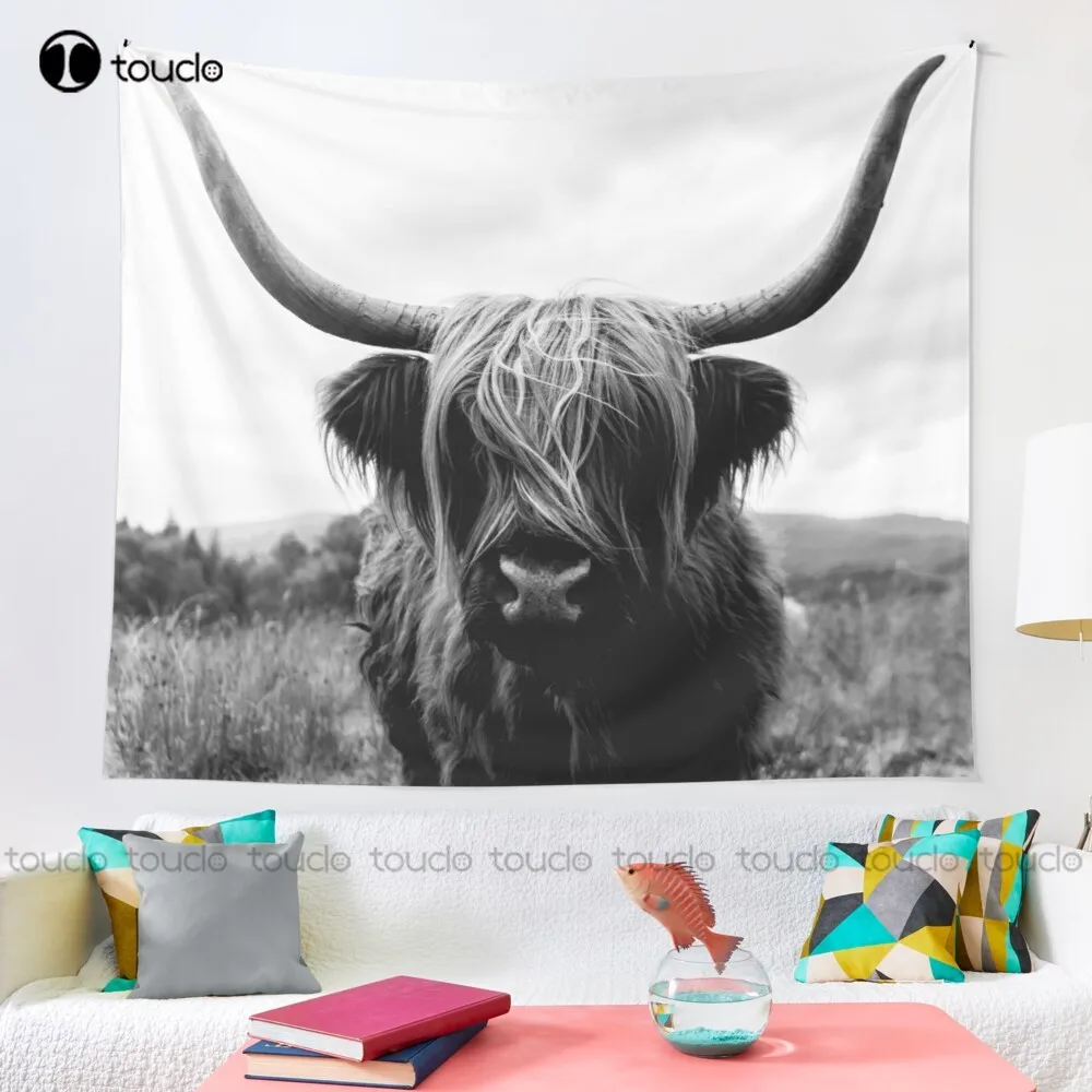 Scottish Highland Cattle - Bla - Photography Online ulasan dan harga