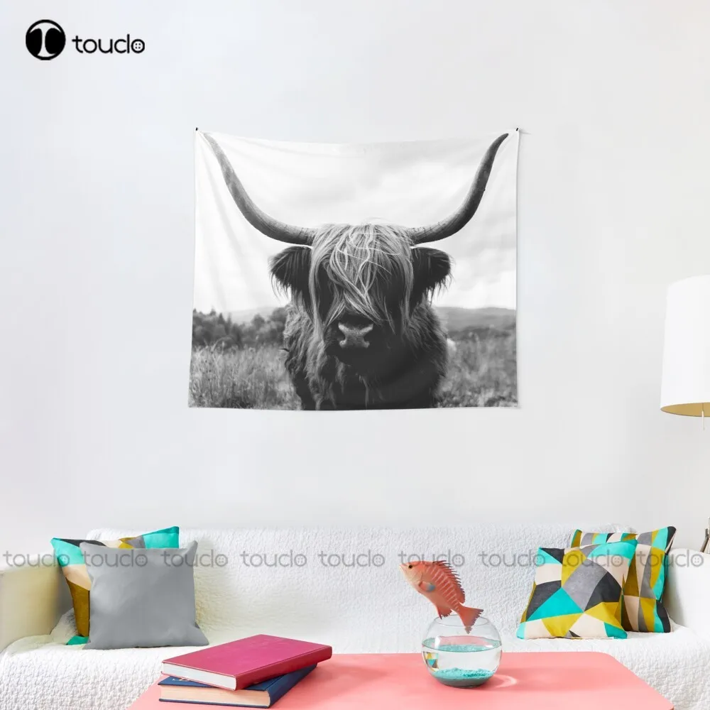 Scottish Highland Cattle - Bla - Photography Online ulasan dan harga